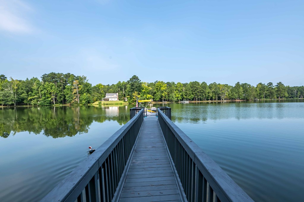160 Willow Beach Road Ellerslie, GA 31807 - Photo 31 of 35 Gallery Image 31