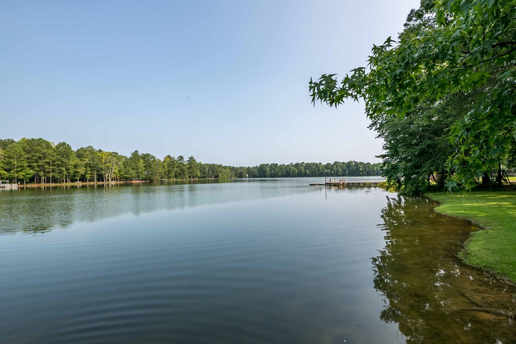 160 Willow Beach Road Ellerslie, GA 31807 - Photo 32 of 35 Gallery Image 32