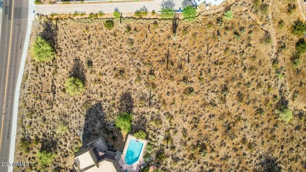 a picture of street with a yard