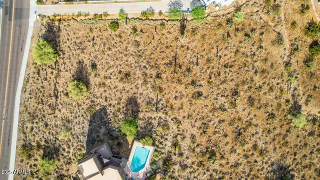 a picture of street with a yard