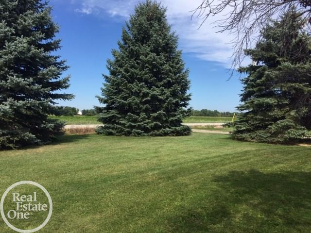 4775 McIntyre Road North Street, MI 48049 - Photo 67 of 69 50021870-66.JPG