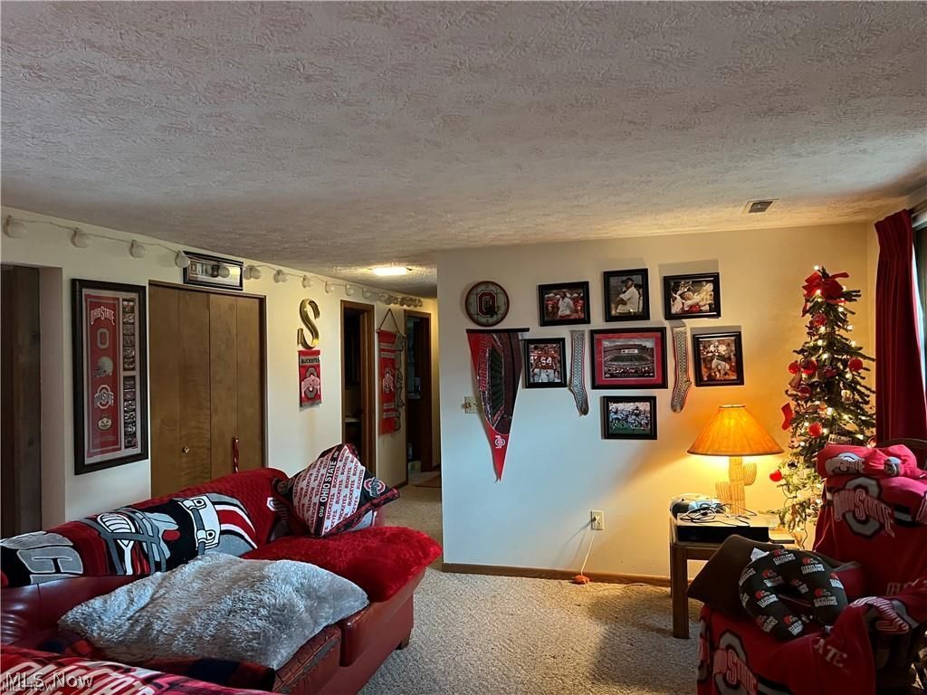 1580 Reed Street Canal Fulton, OH 44614 - Photo 18 of 21 Lower-level family room view of hallway.