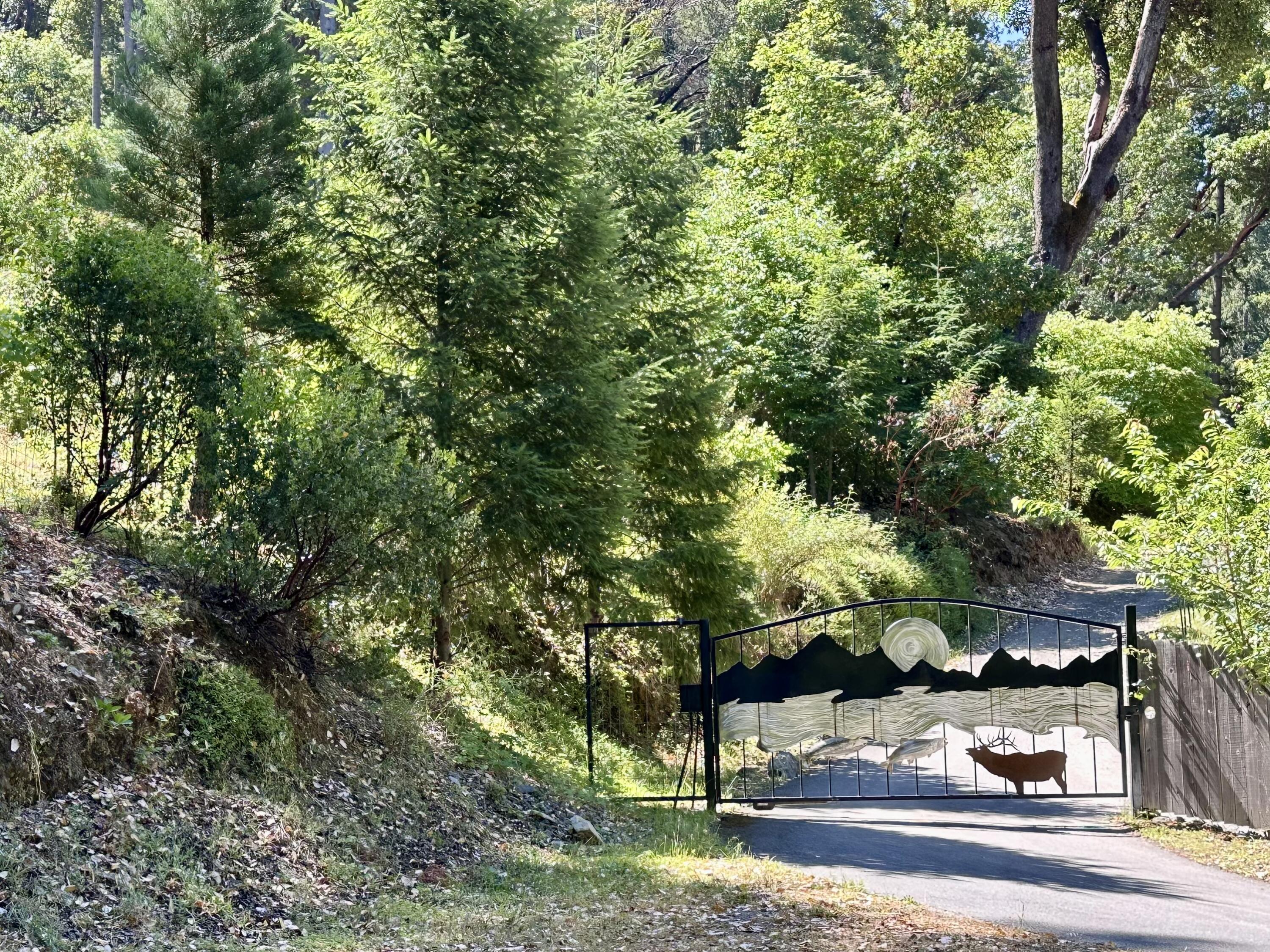 1665 Seeley Mc Intosh Road Willow Creek, CA 95573 - Photo 71 of 76