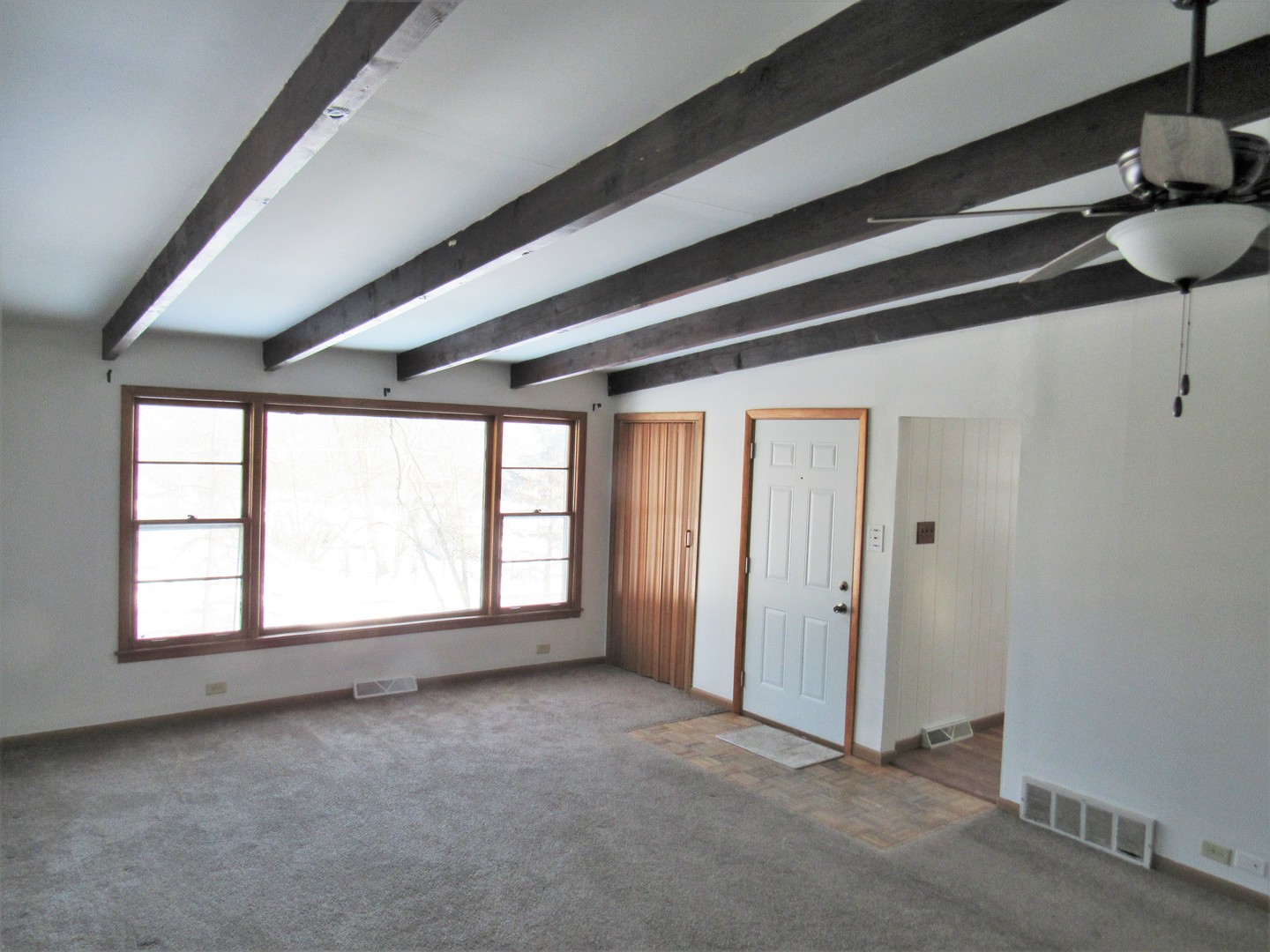 38156 North Watts Avenue Spring Grove, IL 60081 - Photo 4 of 25