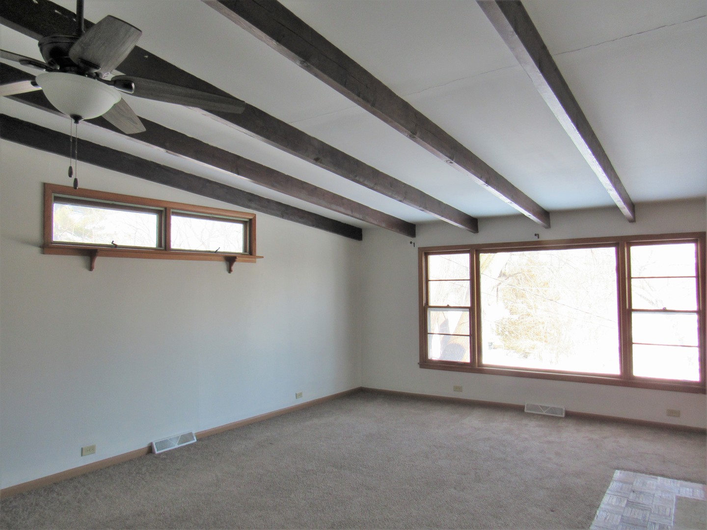 38156 North Watts Avenue Spring Grove, IL 60081 - Photo 5 of 25