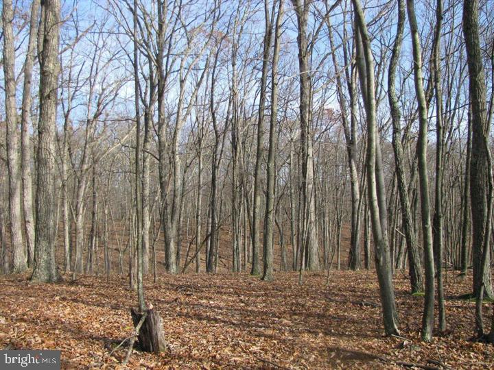 1419 Paul's Woods Road Delray, WV 26714 - Photo 55 of 105