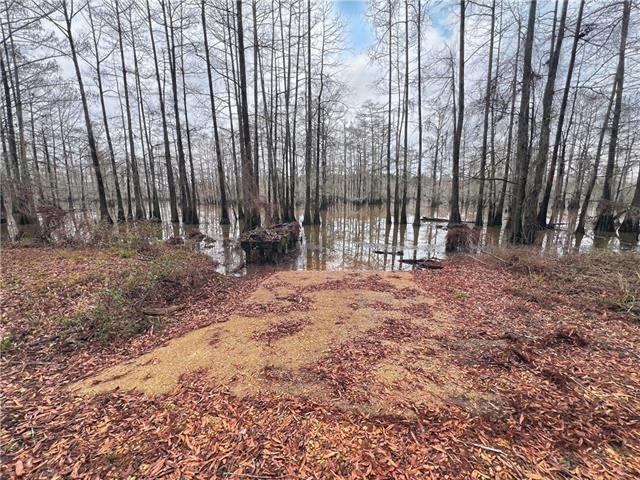 265 Pinckard Road Colfax, LA 71417 - Photo 3 of 3