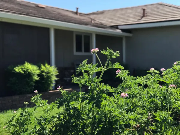 $479,990 | 2311 Reile Avenue, Escalon, CA 95320
