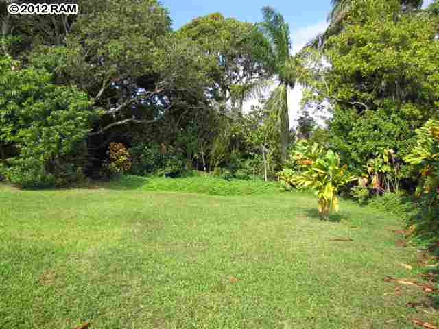 542 West Kuiaha Road Haiku, HI 96708 - Photo 3 of 4 a green field with lots of trees