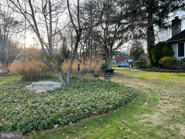 a view of a garden with trees