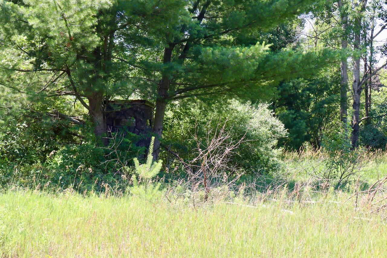 4718 Church Road Six Lakes, MI 48886 - Photo 16 of 76 016