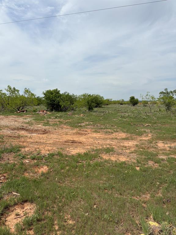 Tbd Causeway Road Jacksboro, TX 76458 - Photo 10 of 14