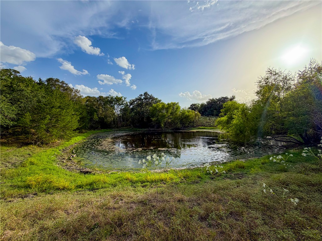 Tbd Oil Field Road Brenham, TX 77833 - Photo 6 of 32 Gallery Image 6