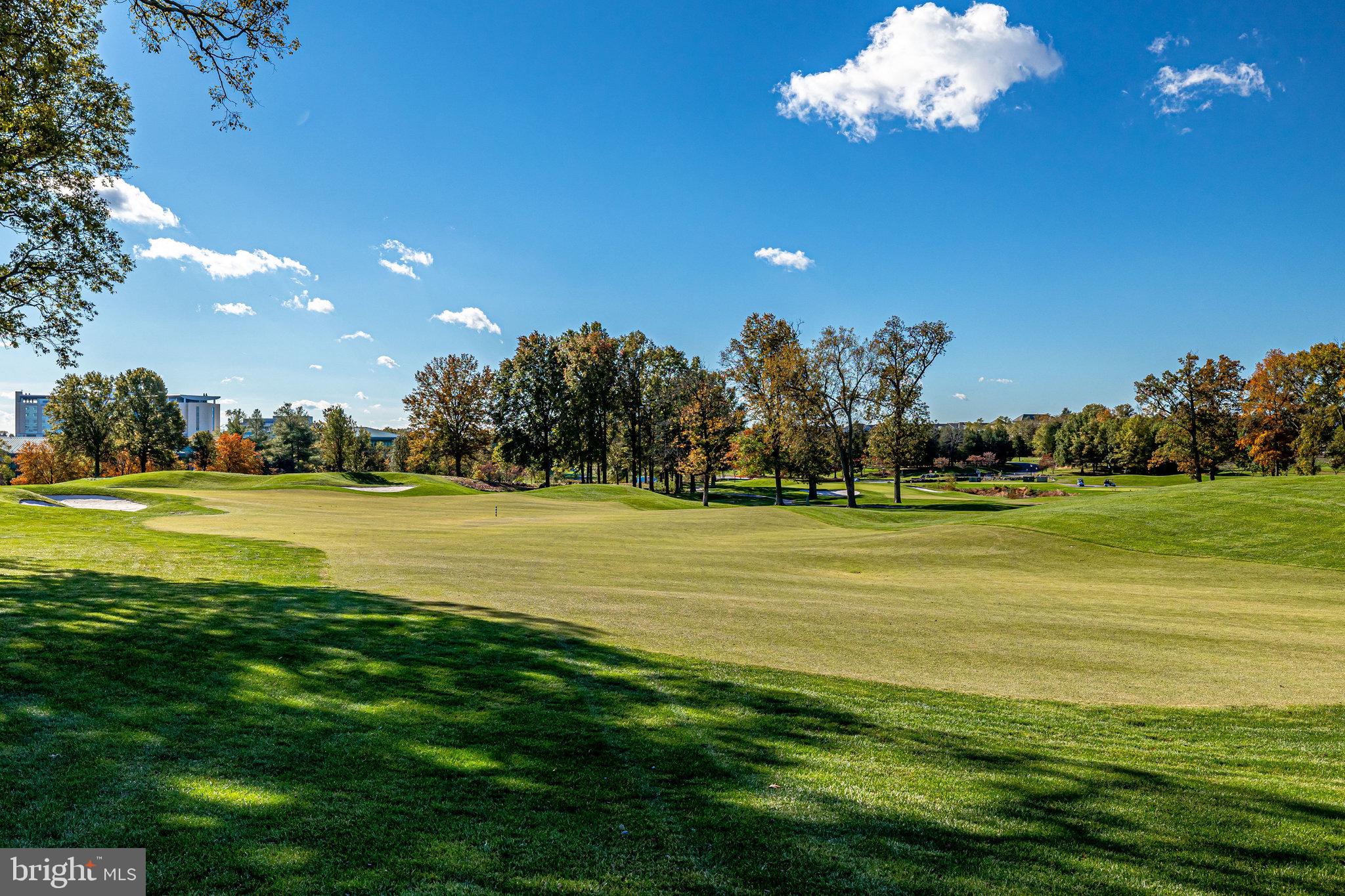 18856 Ridgeback Court Leesburg, VA 20176 - Photo 25 of 29 Lansdowne golf course