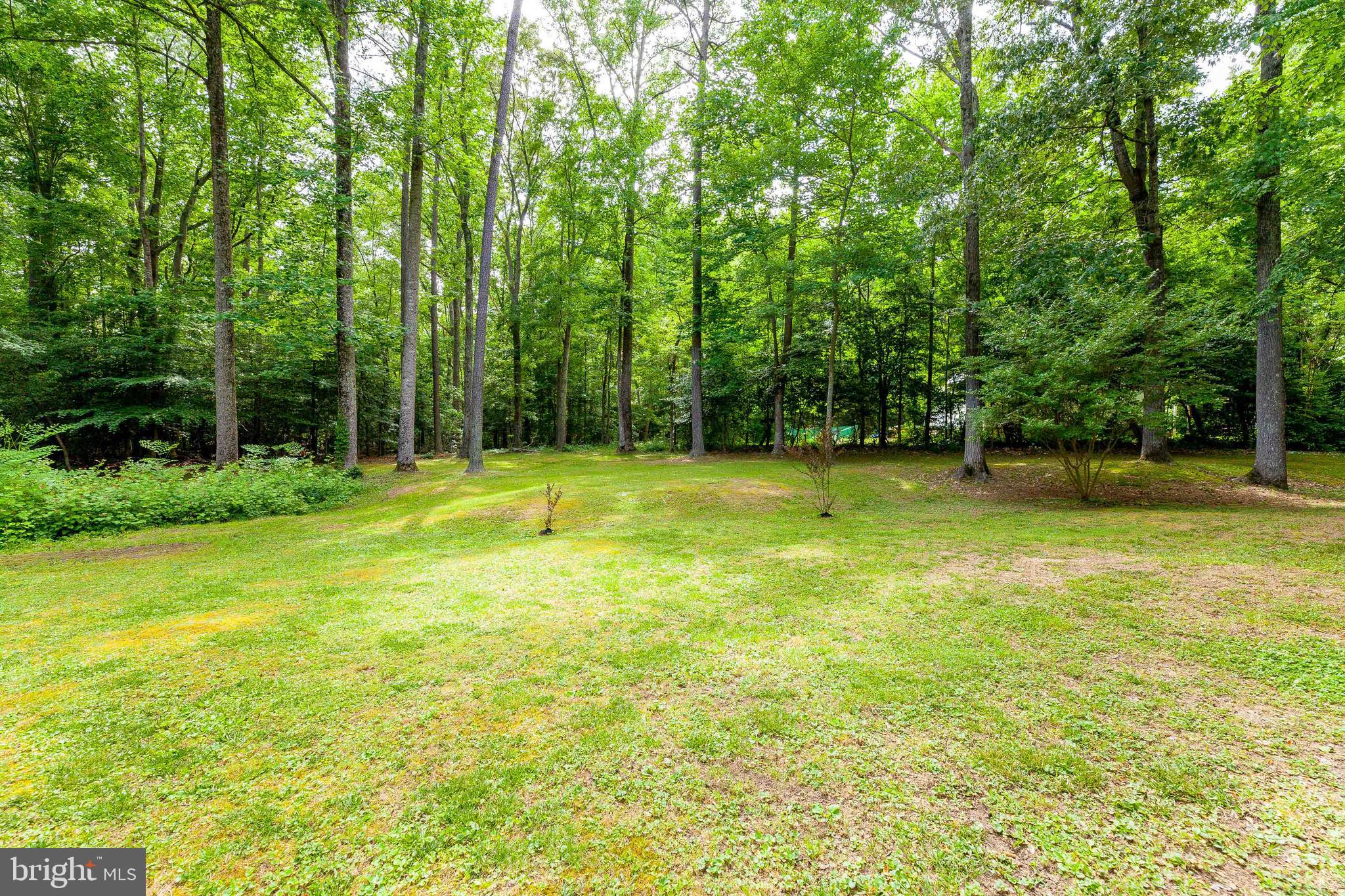 43355 Medleys Neck Road Leonardtown, MD 20650 - Photo 45 of 47 Back Yard