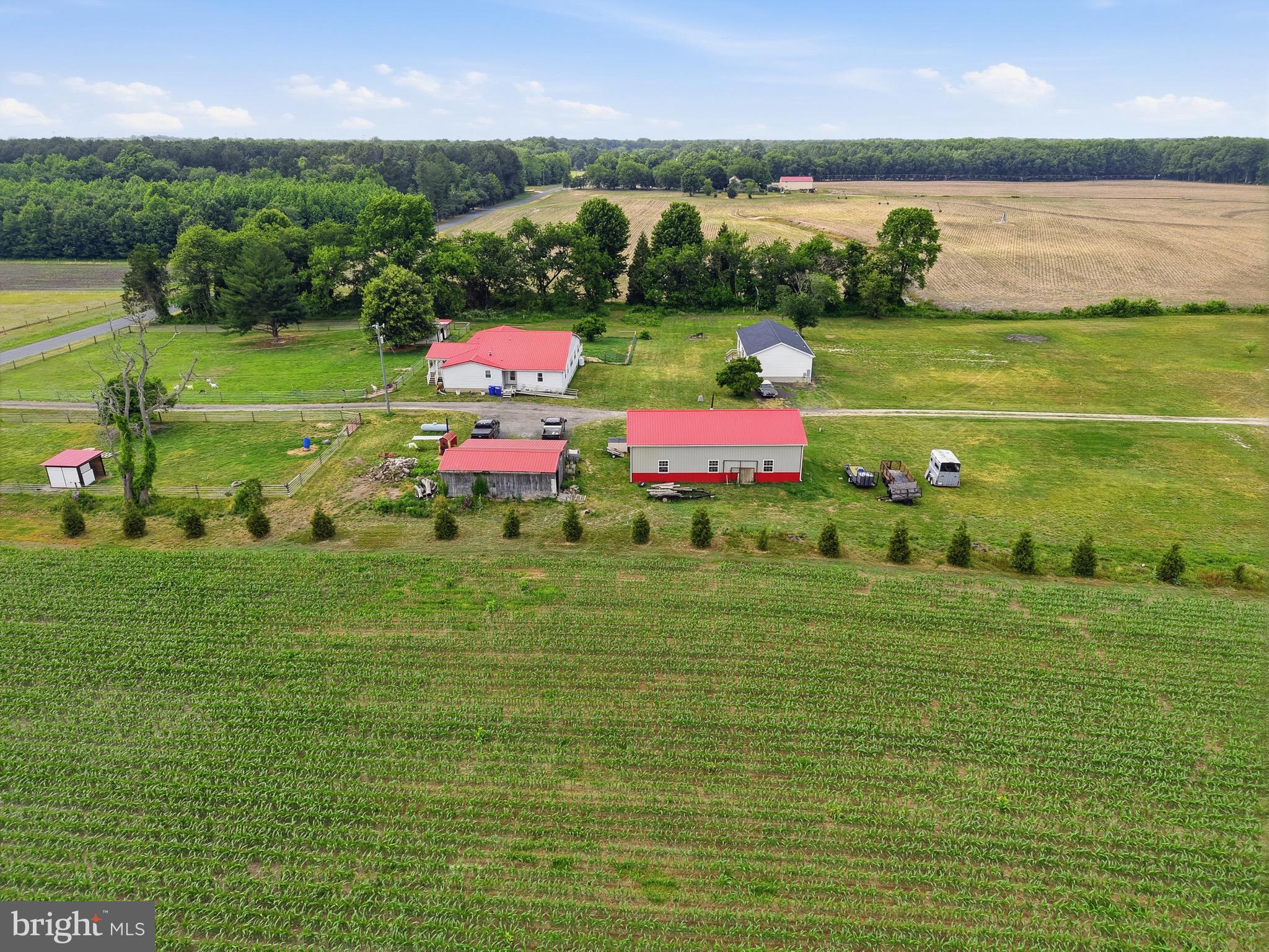 420 Duhamel Corner Road Marydel, MD 21649 - Photo 21 of 90