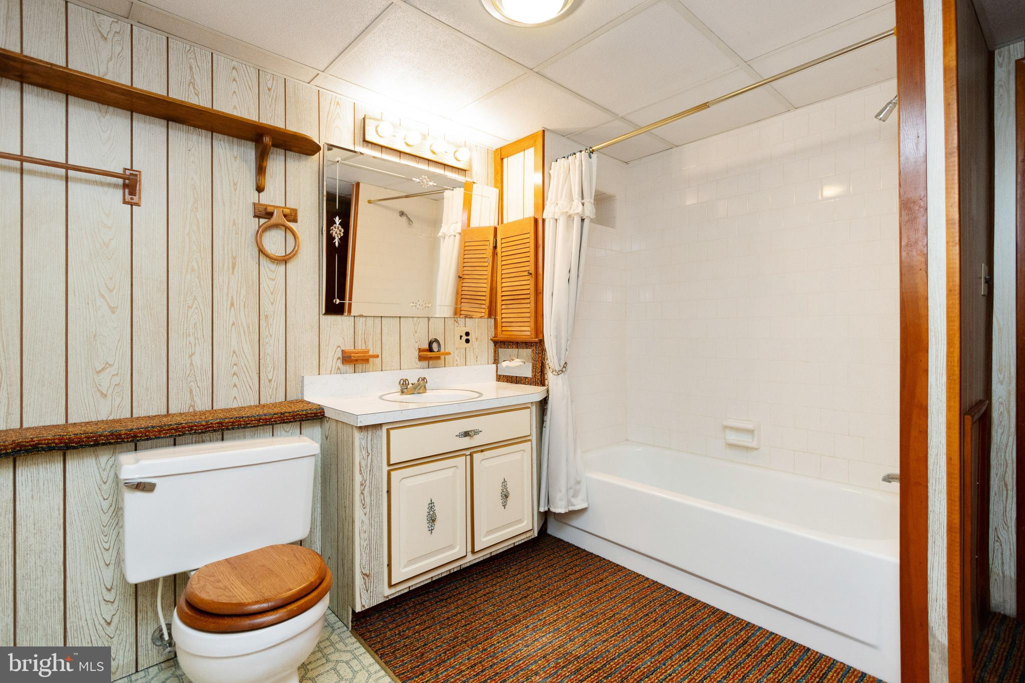 2621 Coon Club Road Westminster, MD 21157 - Photo 41 of 55 basement full bathroom with shower tub