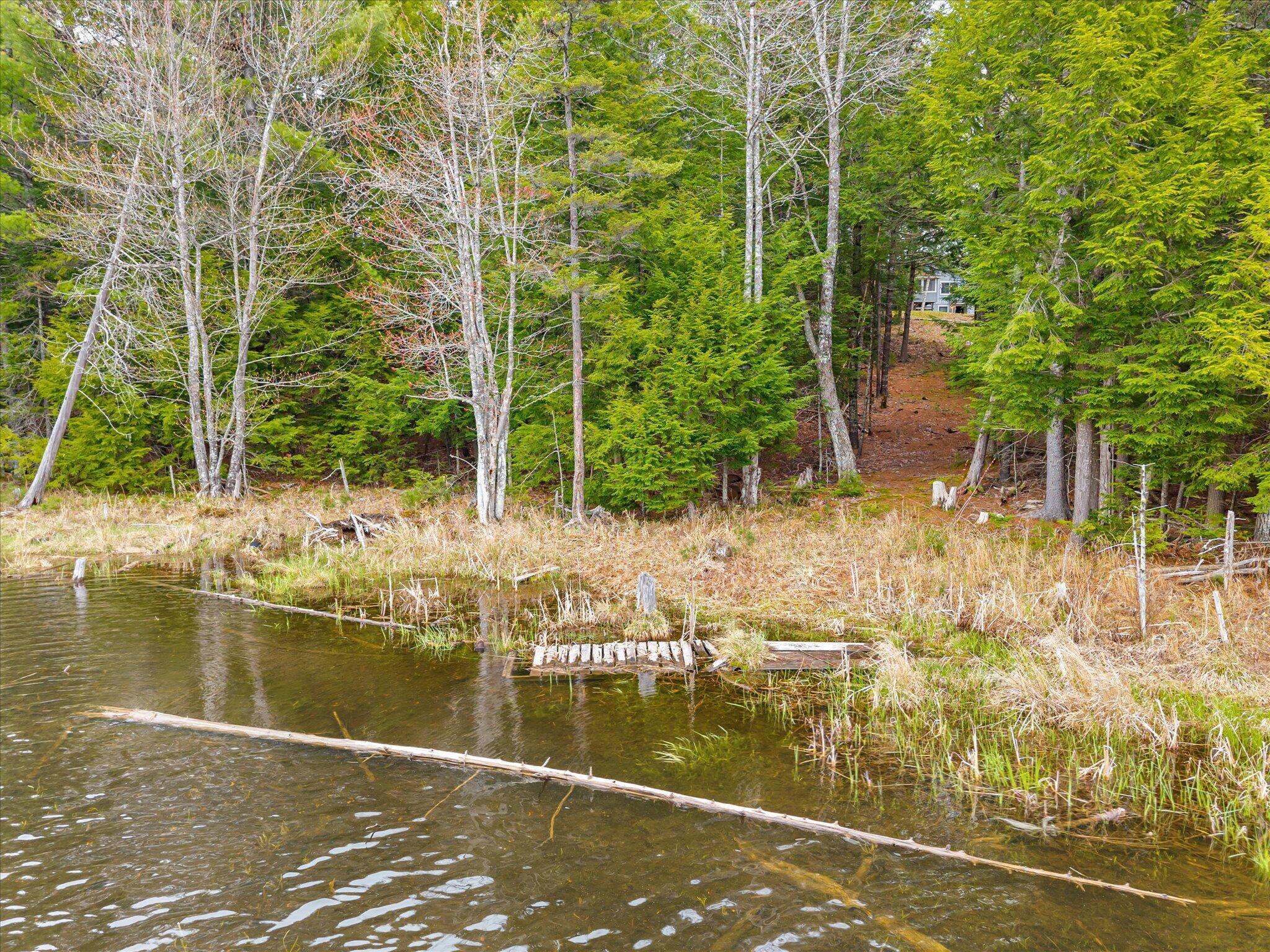 226 Cards Ridge Road Greenbush, ME 04418 - Photo 41 of 51 39-226 Cards Ridge Rd