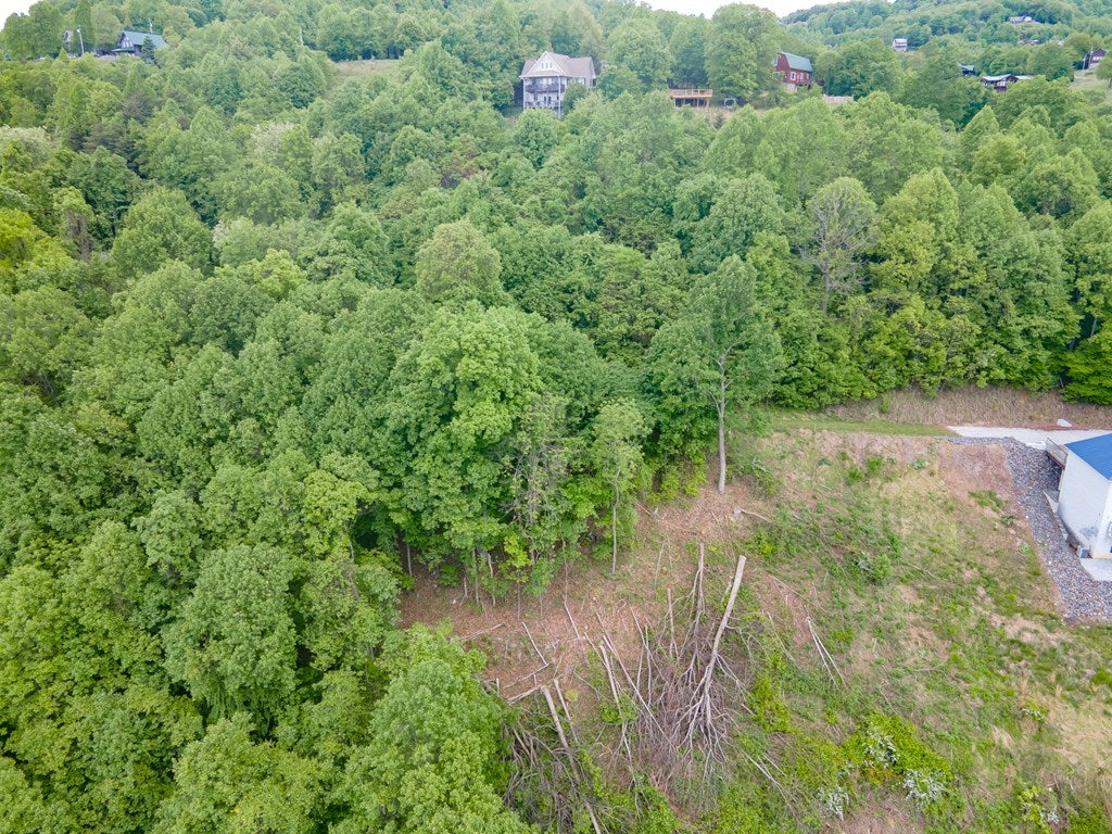 Cc Spring Pond Trail, Unit CC Fancy Gap, VA 24328 - Photo 10 of 46 Gallery Image 10
