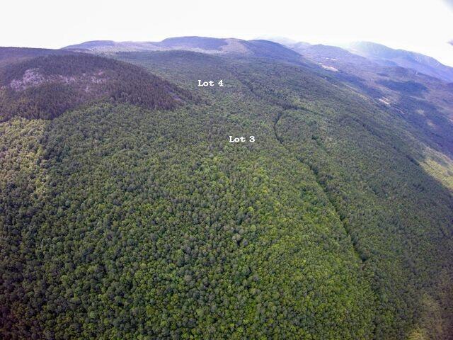 Lot 4 Bear River Road Newry, ME 04261 - Photo 5 of 11 Lot 3 & 4 Viewing South