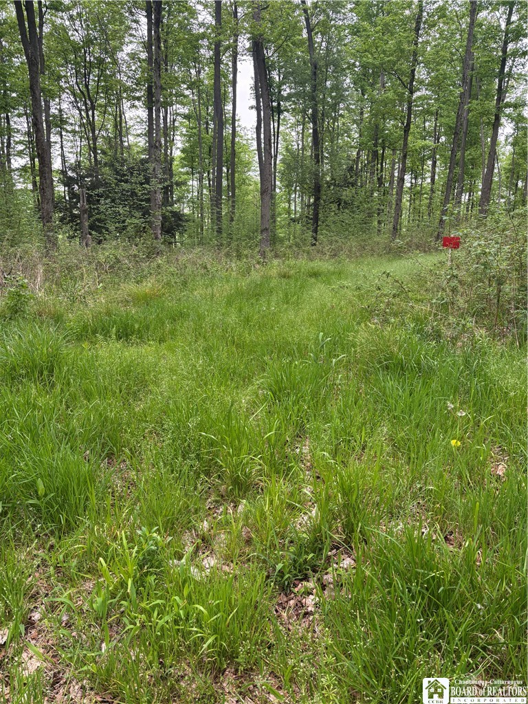 Fulmer Valley Road Wellsville, NY 14895 - Photo 34 of 49