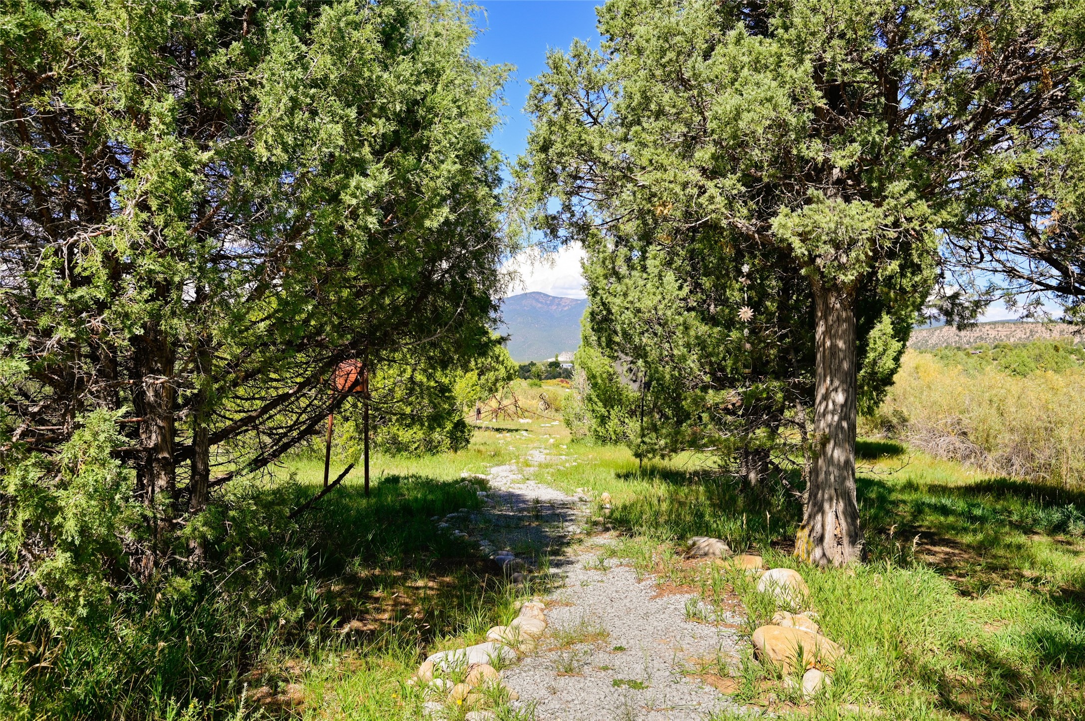157 Pacheco Road Llano, NM 87543 - Photo 83 of 94