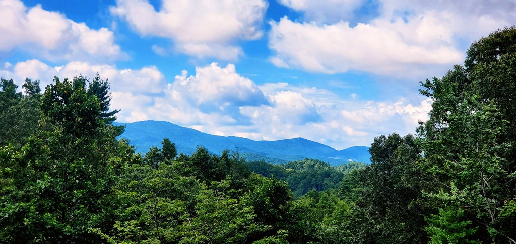 880 Little Bushy Head Road Blue Ridge, GA 30513 - Photo 2 of 51 a view of a city and a lot of trees
