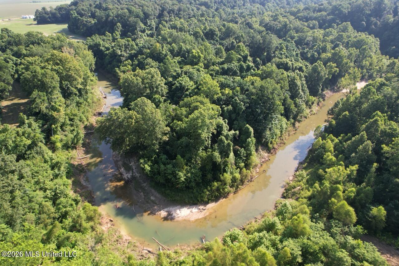 Annas Bottom Road Natchez, MS 39120 - Photo 5 of 48 DJI_0390 Large