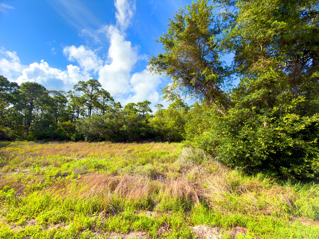 Lot 6 Indian Pass Road Port St. Joe, FL 32456 - Photo 7 of 12