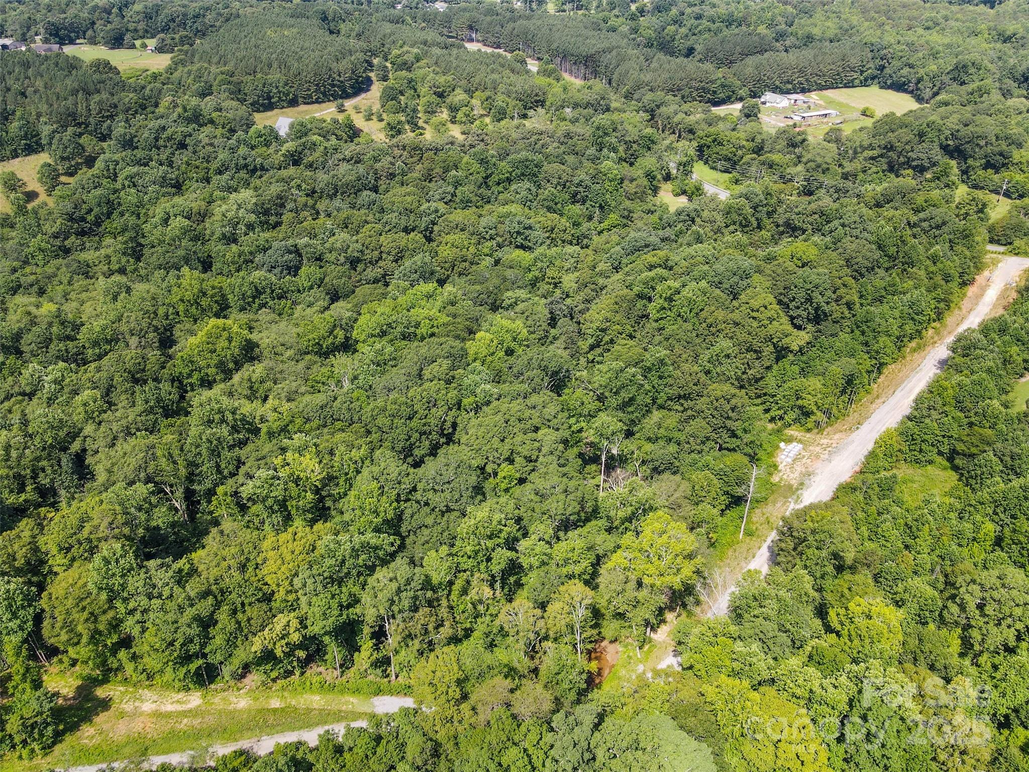 1371 Alexis High Shoals Road Dallas, NC 28034 - Photo 14 of 19 a view of a large yard with lots of green space