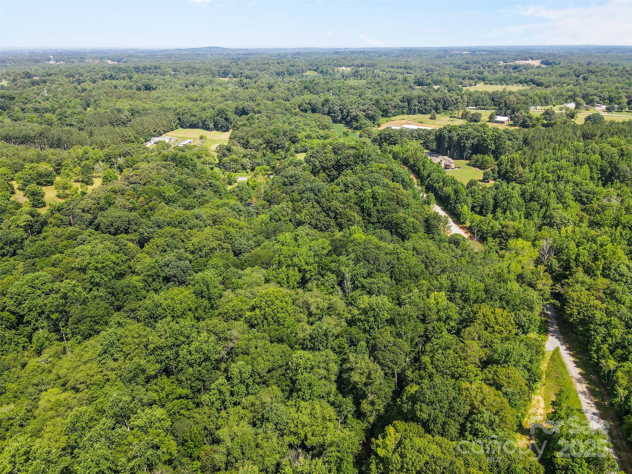 1371 Alexis High Shoals Road Dallas, NC 28034 - Photo 10 of 19 a view of a green field with lots of bushes