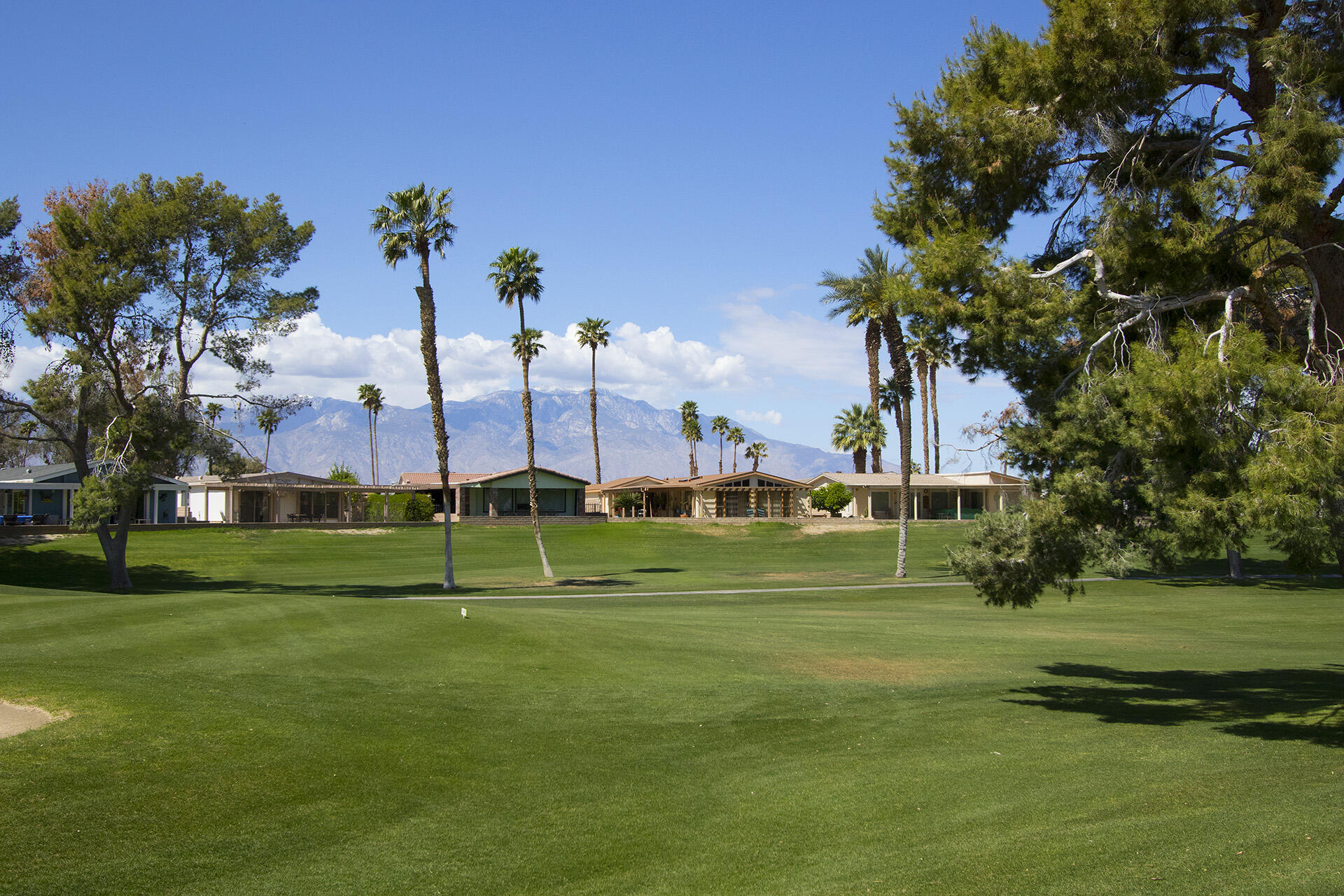 34649 Double Diamond Drive Thousand Palms, CA 92276 - Photo 4 of 42 a view of a park with big trees