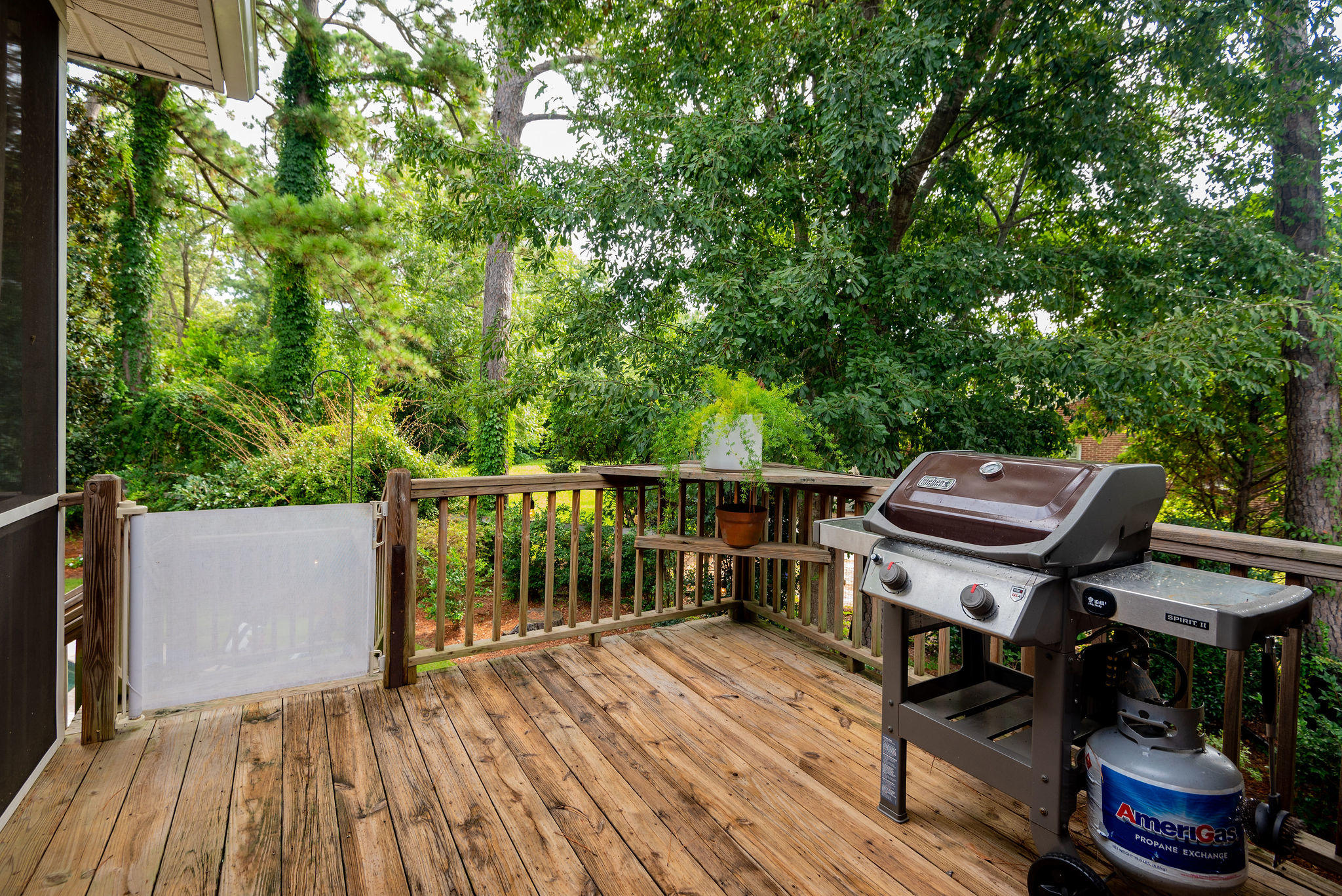 1482 Burningtree Road Charleston, SC 29412 - Photo 25 of 65 Porch