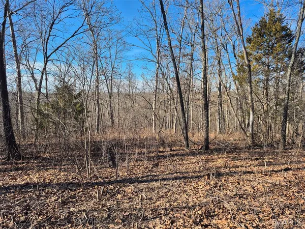 $22,500 | 0 Catawba Drive, De Soto, MO 63020