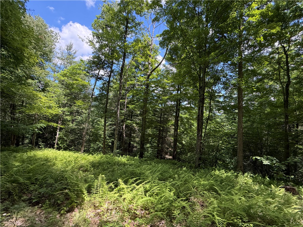 Vl Catatunk Road, Unit R Canisteo, NY 14823 - Photo 15 of 50
