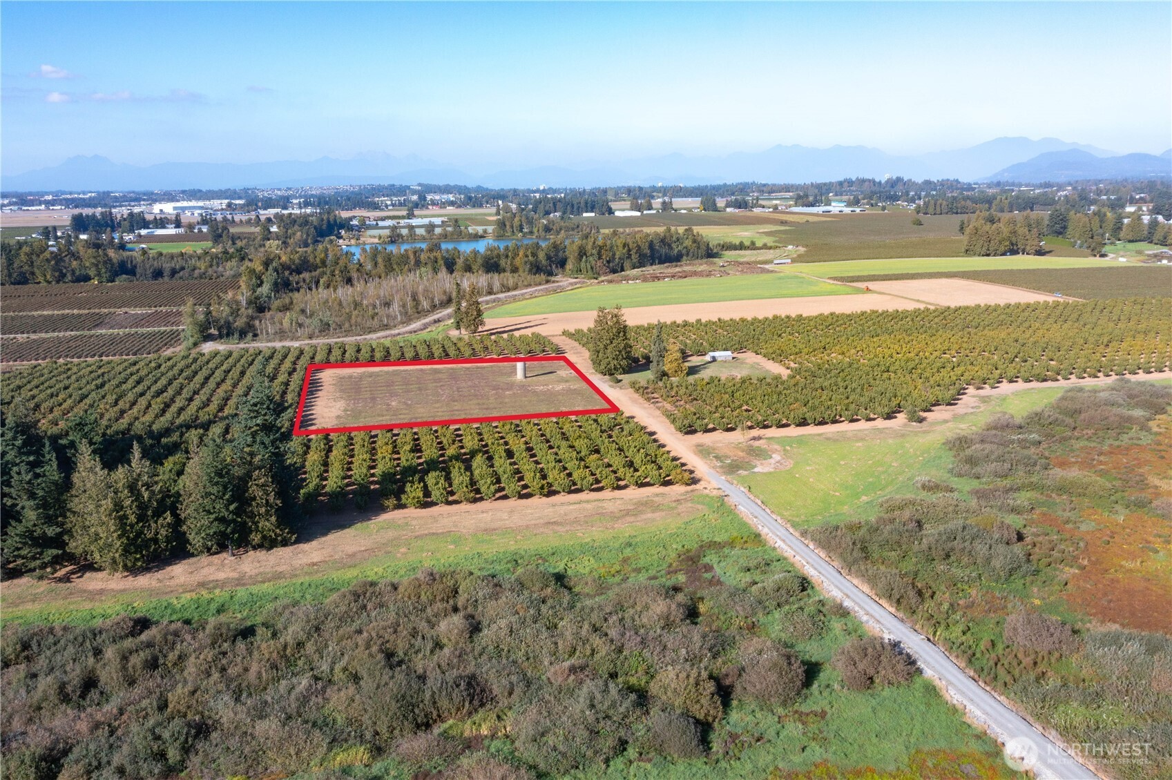 9919 Holmquist Road Lynden, WA 98264 - Photo 4 of 15 Gallery Image 4
