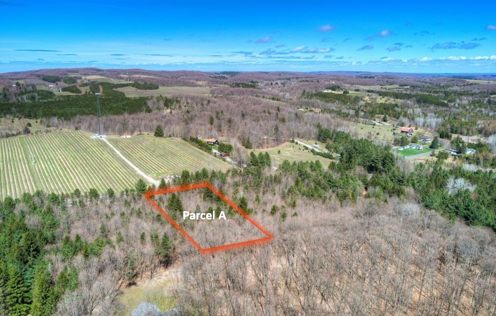 Parcel A East Bodus Road Cedar, MI 49621 - Photo 1 of 8