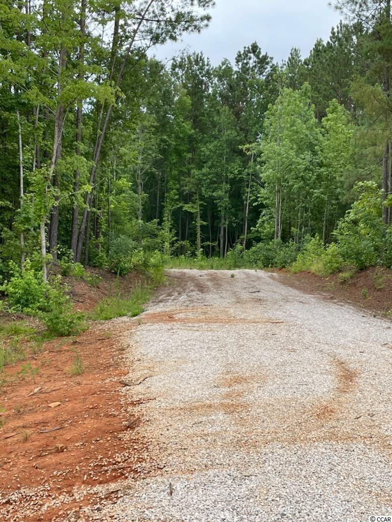 Tbd Catawba River Road Fort Lawn, SC 29714 - Photo 9 of 9 Gallery Image 9