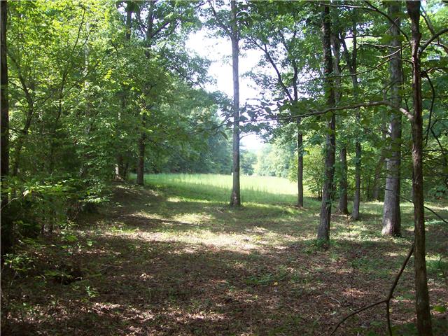 1330 East Beaverdam Road Centerville, TN 37033 - Photo 18 of 20 Gallery Image 18