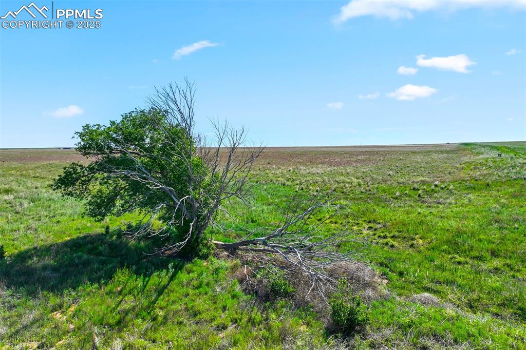 0 Service Ranch Point Yoder, CO 80864 - Photo 7 of 16 a view of an outdoor space and a yard