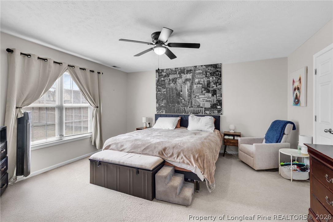 181 Cape Fear Road Raeford, NC 28376 - Photo 19 of 36