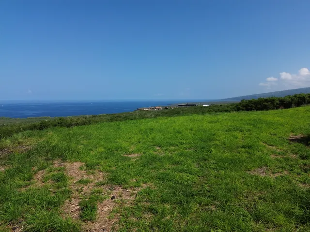 a view of yard with outdoor space