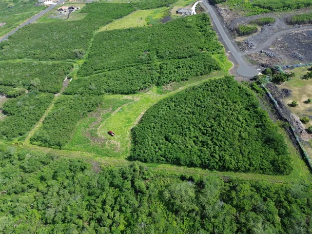 a view of a garden with a building