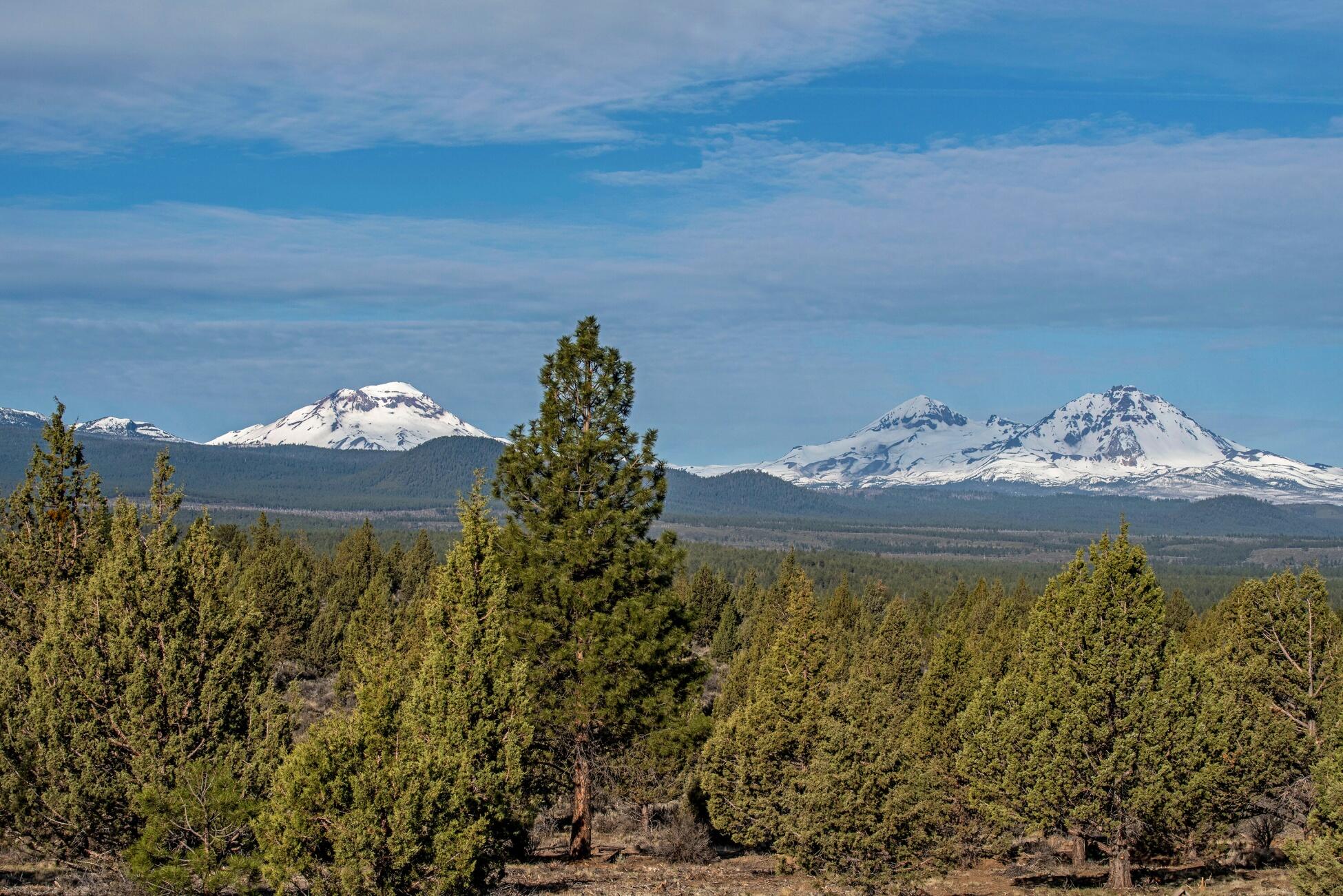65570 Sisemore Road Bend, OR 97703 - Photo 43 of 43 batch_65570 Sisemore Rd Bend OR-print-00
