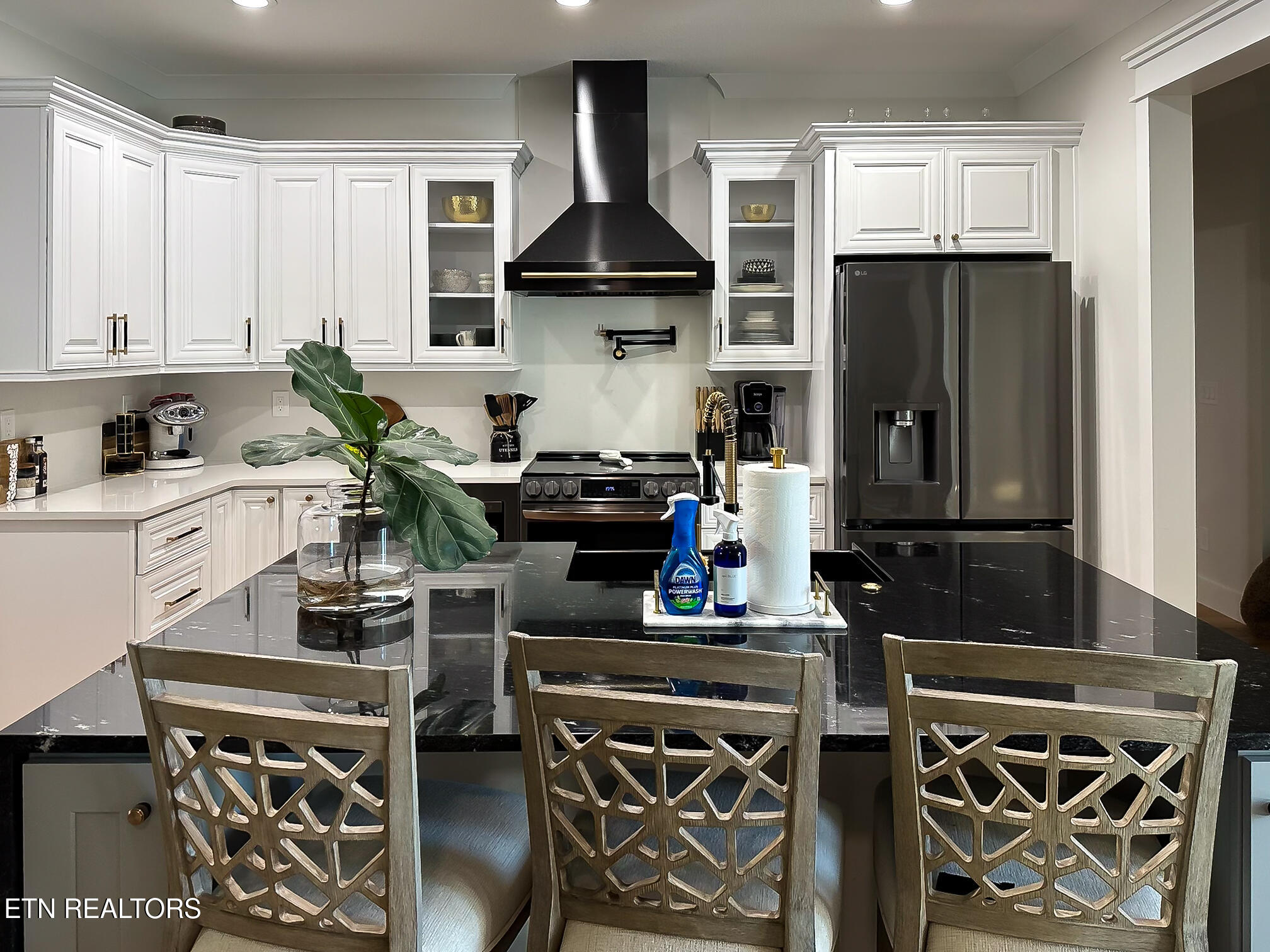 316 Ootsima Lane Loudon, TN 37774 - Photo 9 of 39 OWNER PROVIDED PHOTO FUNRISHED