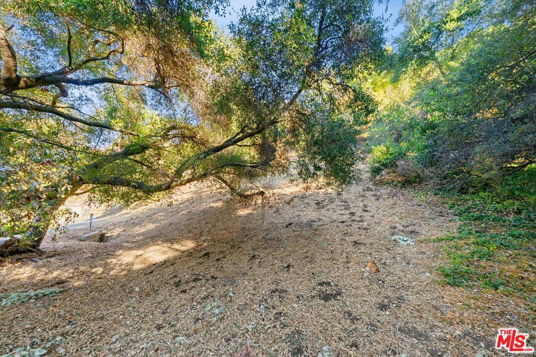 612 Reithe Avenue Calabasas, CA 91302 - Photo 5 of 12 a view of a yard with a tree