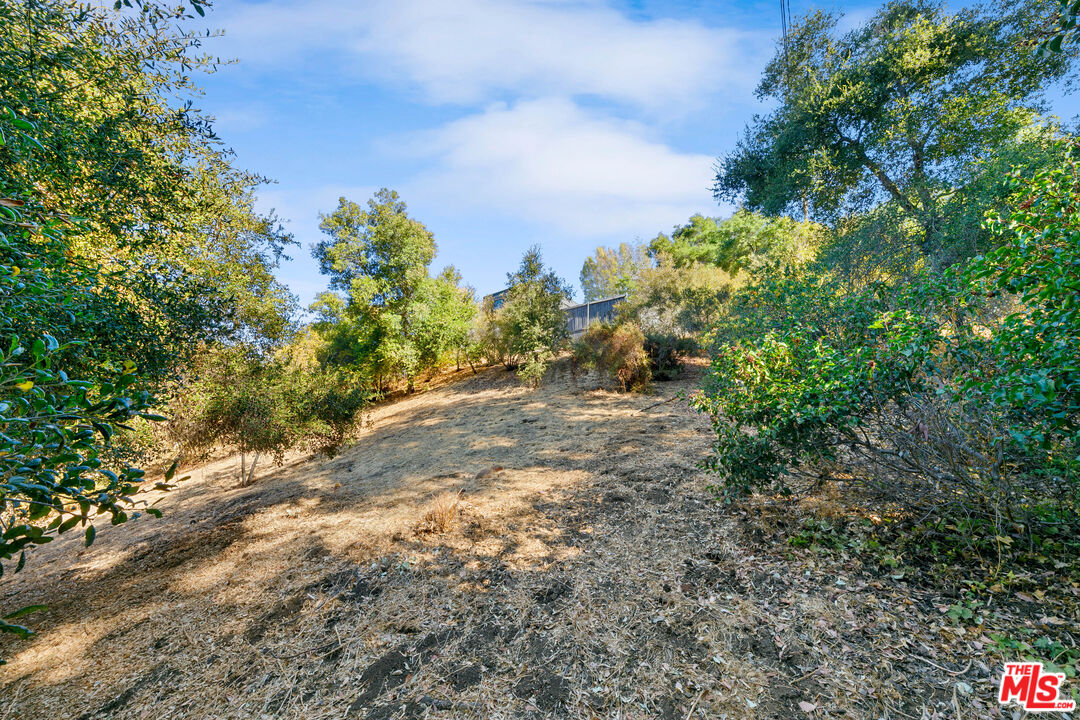 612 Reithe Avenue Calabasas, CA 91302 - Photo 6 of 12 a view of a yard with plants and trees