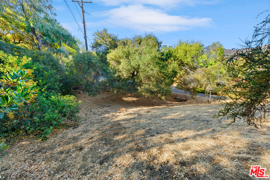 612 Reithe Avenue Calabasas, CA 91302 - Photo 7 of 12 a view of a yard with a tree