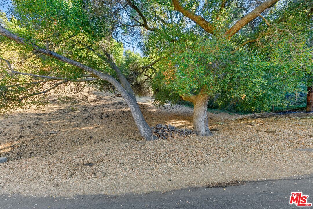 612 Reithe Avenue Calabasas, CA 91302 - Photo 8 of 12 a view of a yard with large trees