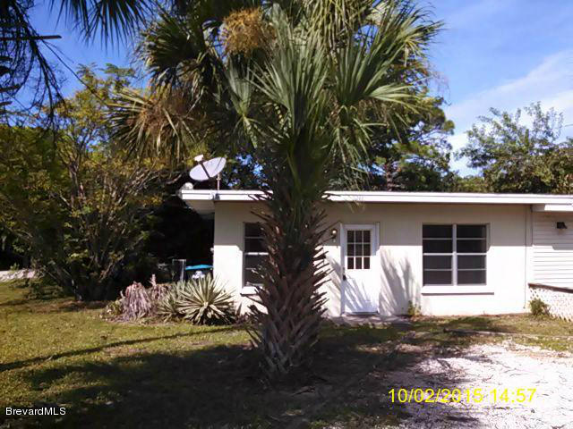 2601 2nd Avenue Northeast Palm Bay, FL 32905 - Photo 1 of 9 After palm trimming 10